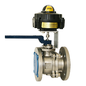 ASIA VALVES CORP CTY TNHH ASIA VALVES