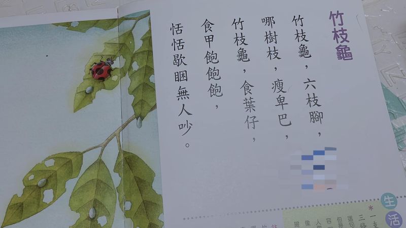 「竹枝龜」台語怎麼唸？媽媽被難倒