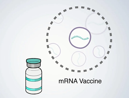 mRNA疫苗易引發心肌炎心包膜炎　法國官方雙確認