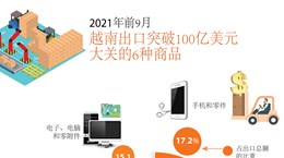 圖表新聞：2021年前9月越南出口突破100億美元大關的6種商品