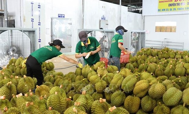 經濟外交：進一步提升越南各地與中國天津市之間合作層次和水準