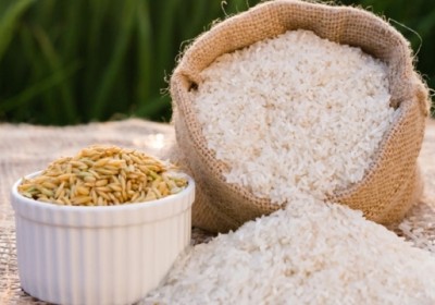 菲律賓將大米進口稅下調至15%
