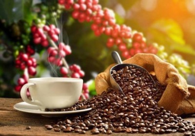 越南對西班牙咖啡出口額猛增